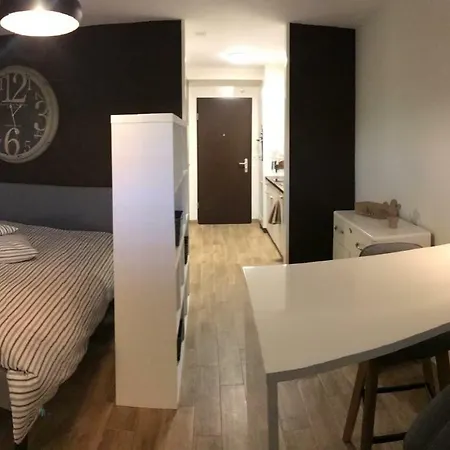 Large Near Epfl And Lausanne Center Apartamento