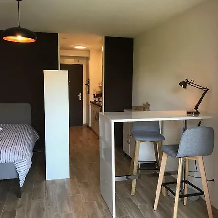 Large Near Epfl And Lausanne Center * Ecublens (Vaud)