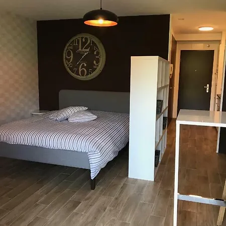 Large Near Epfl And Lausanne Center Apartamento Ecublens (Vaud)