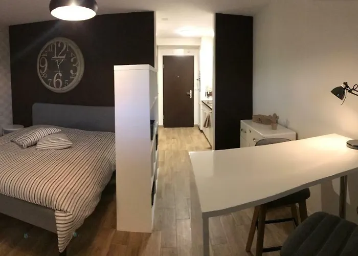 Large Near Epfl And Lausanne Center Appartement