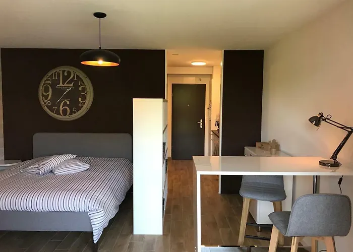 Large Near Epfl And Lausanne Center Apartamento *