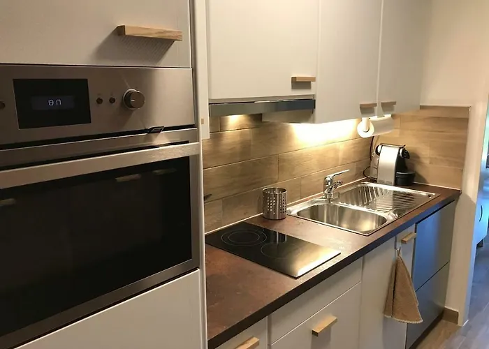 Large Near Epfl And Lausanne Center *