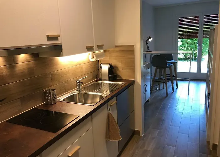 Apartamento Large Near Epfl And Lausanne Center Ecublens (Vaud)