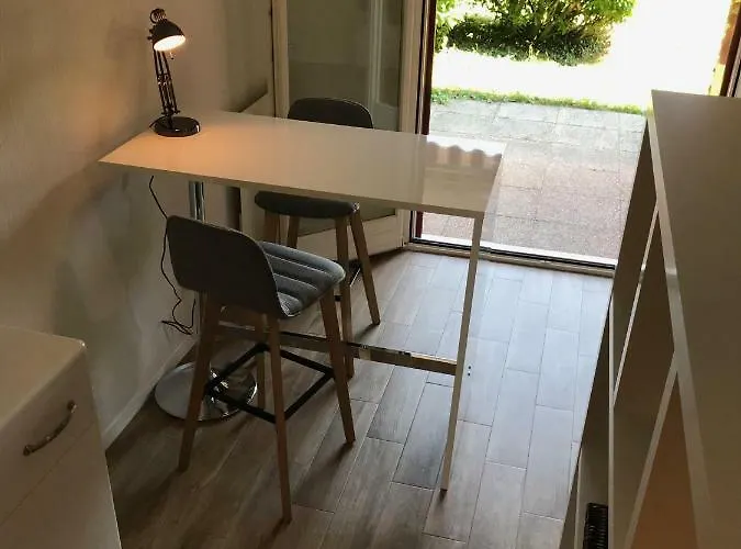 Large Near Epfl And Lausanne Center *