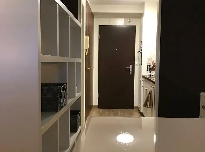 Apartamento Large Near Epfl And Lausanne Center *