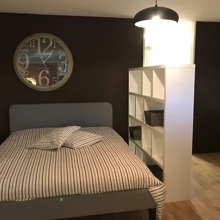 דירה Large Near Epfl And Lausanne Center