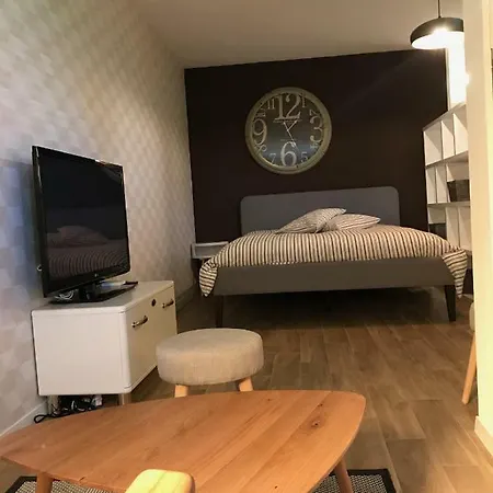 Large Near Epfl And Lausanne Center Apartment Ecublens (Vaud)