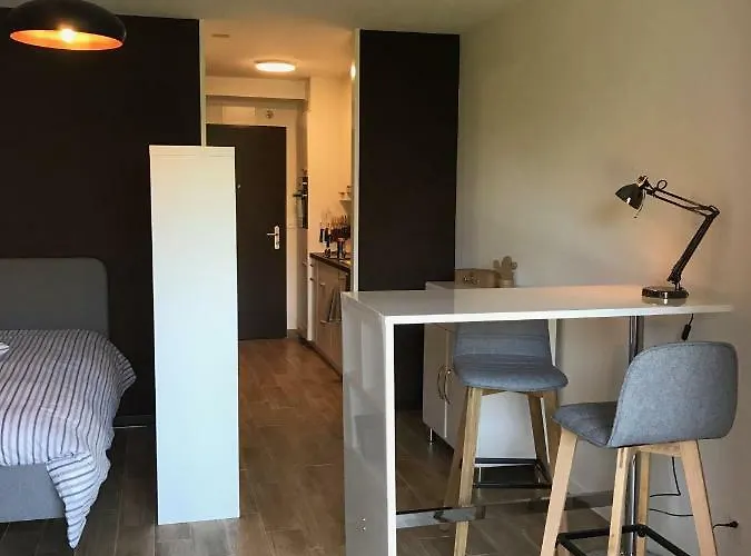 Large Near Epfl And Lausanne Center * Ecublens (Vaud)